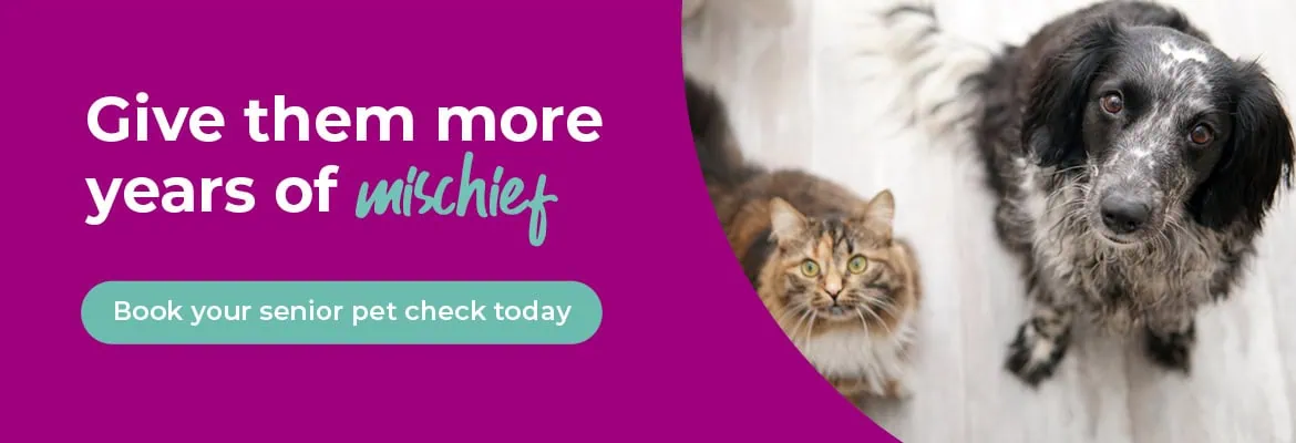 Vets in Farnham | Vets in Aldershot | Cathcart & Winn