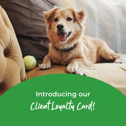 farnham vets in surrey offering loyalty scheme card