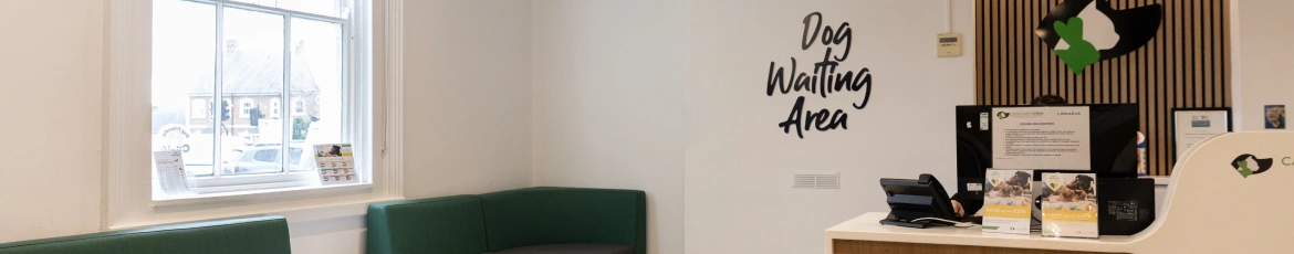 Dog-Friendly Clinic in Farnham
