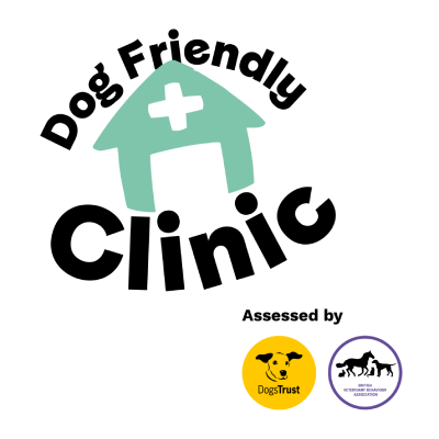 dog friendly clinic in farnham at cathcart and winn vets