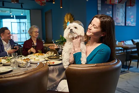 taking-a-dog-to-a-pub