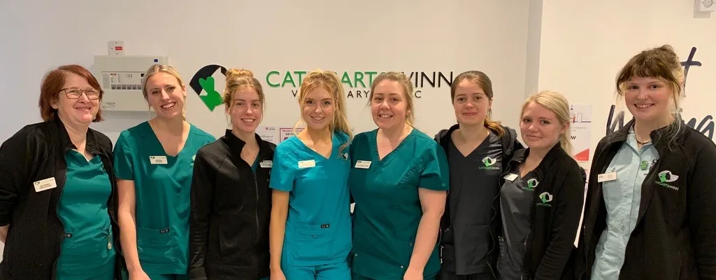 nurse team