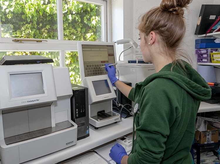 laboratory