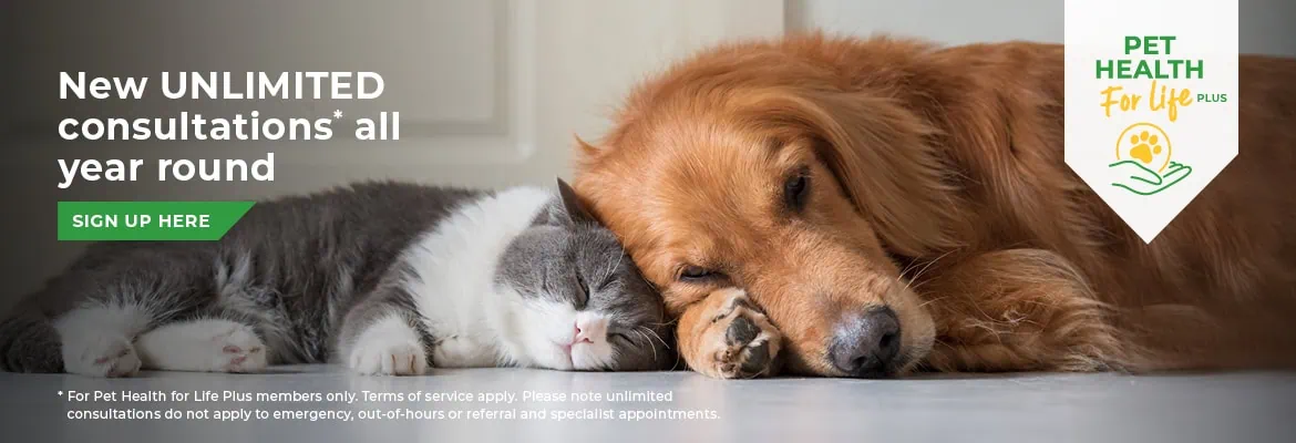 Vets in Farnham | Vets in Aldershot | Cathcart & Winn