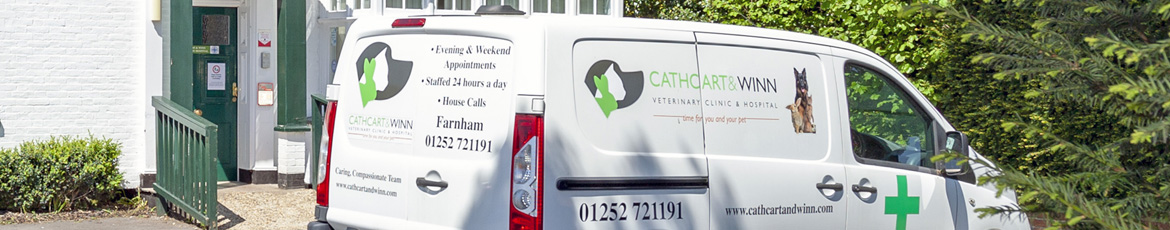 We offer home visit service