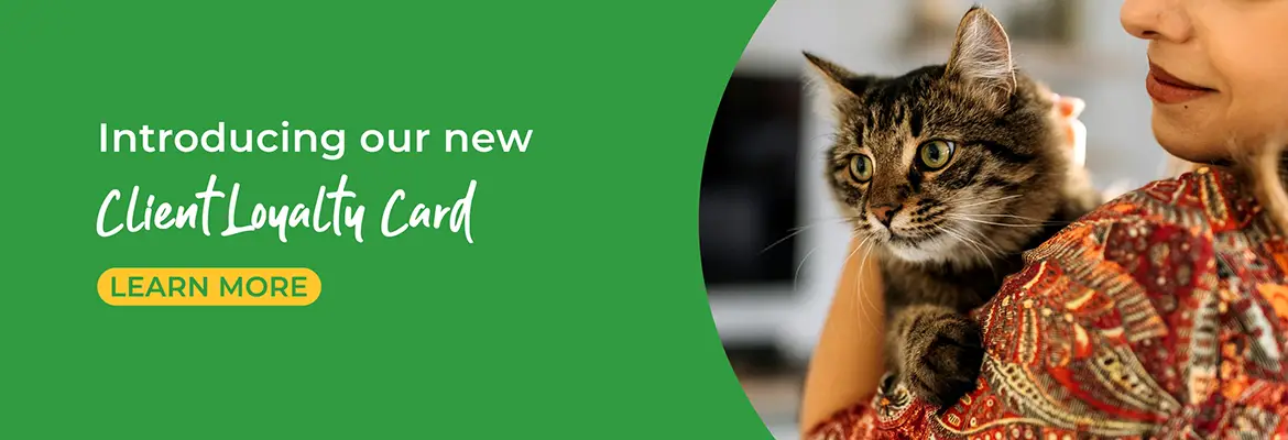 Vets in Farnham | Vets in Aldershot | Cathcart & Winn