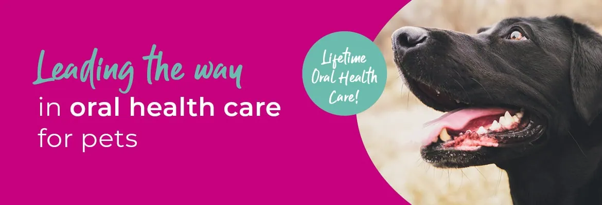Vets in Farnham | Vets in Aldershot | Cathcart & Winn