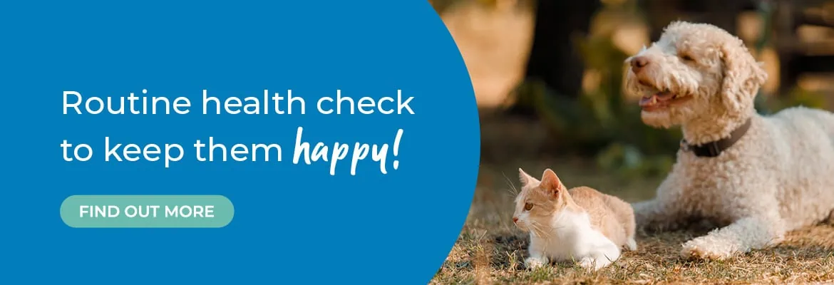 Vets in Farnham | Vets in Aldershot | Cathcart & Winn