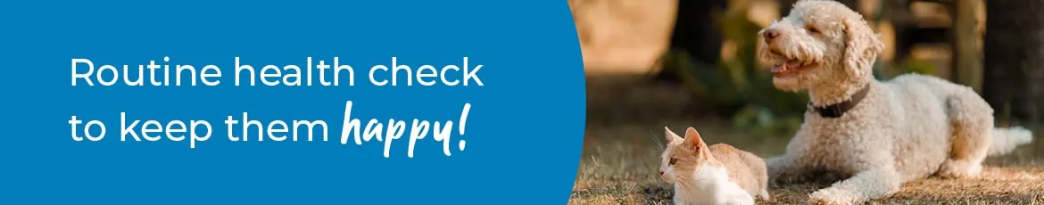 Pet Health Check in Farnham  | Preventative Vet Care