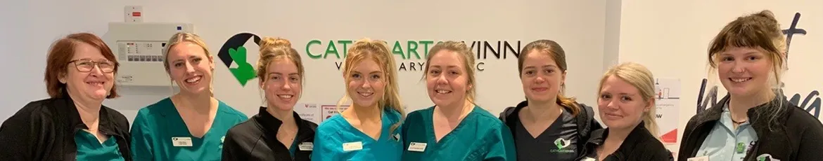 Meet Cathcart & Winn Veterinary Team