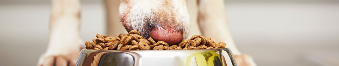 Nutrition and other Pet Care Products