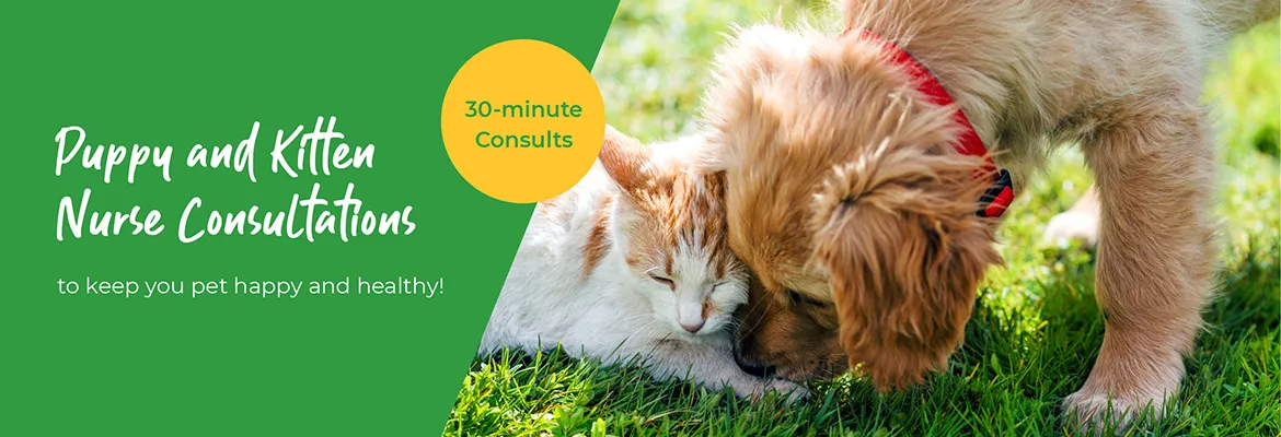 Vets in Farnham | Vets in Aldershot | Cathcart & Winn