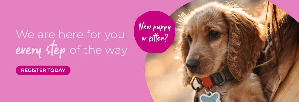 Vets in Farnham | Vets in Aldershot | Cathcart & Winn