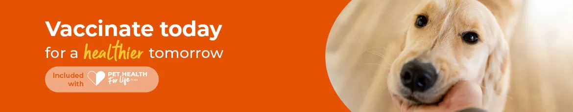Pet Vaccinations in Farnham | Cathcart & Winn Vets